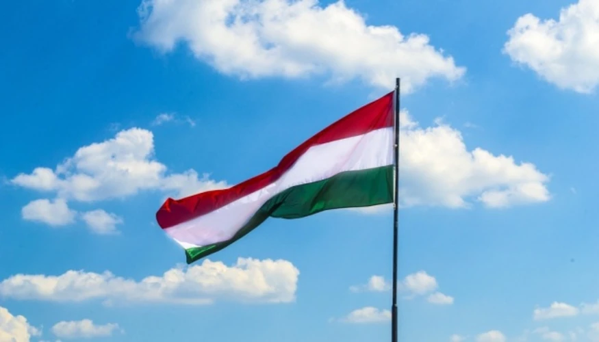 Партія «Тиса» визначилася з кандидатом у президенти Угорщини: що відомо