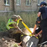 Вибухотехнік поліції біля знешкодженої бойової частини російської балістичної ракети в Солом'янському районі Києва, 29
